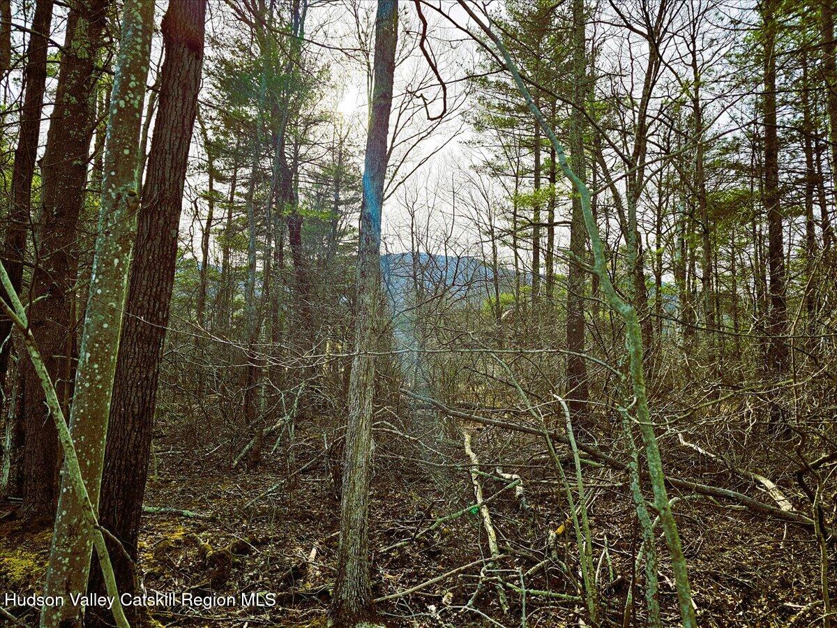 0 Stone Mountain Road Round Top, NY 12473 - Photo 9 of 23 a view of a yard