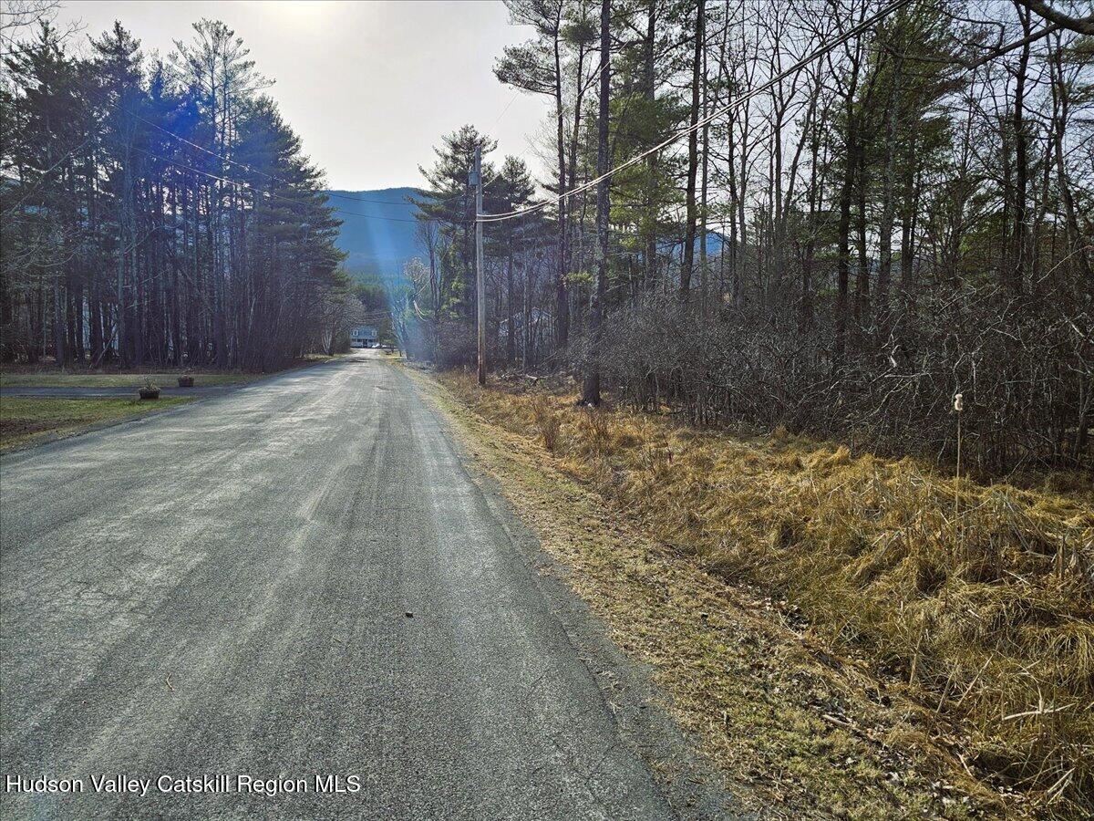 0 Stone Mountain Road Round Top, NY 12473 - Photo 10 of 23 a view of a yard with trees