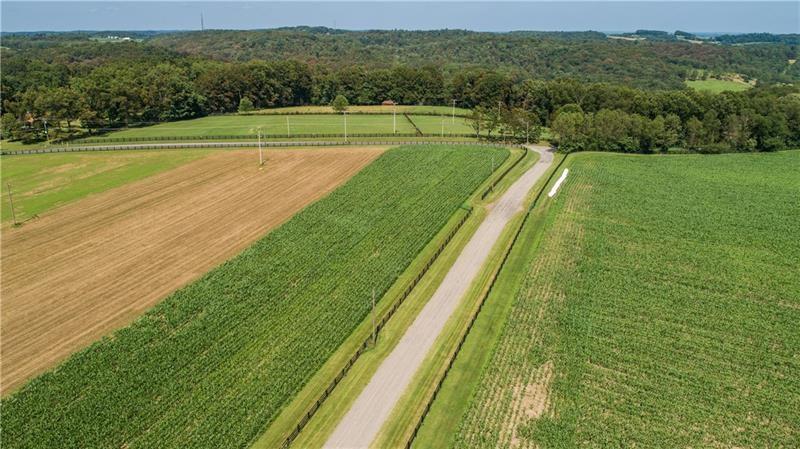 399 Cornetti Road Fenelton, PA 16034 - Photo 25 of 25 a view of a yard with a large trees