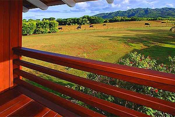 7463 B Koolau Road Kilauea, HI 96754 - Photo 7 of 21 a view of an ocean view