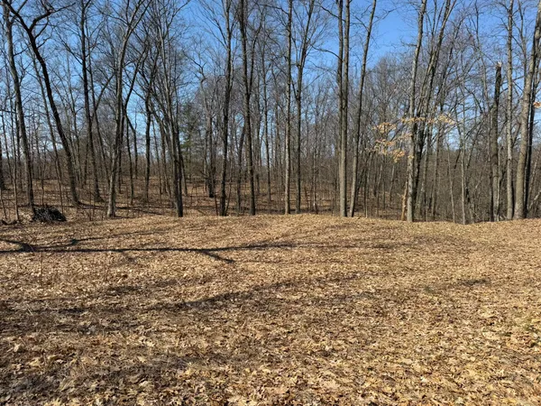 $49,900 | 8180 North Echo Valley Drive, Irons, MI 49644