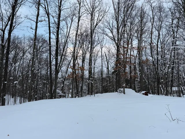 $49,900 | 8180 North Echo Valley Drive, Irons, MI 49644