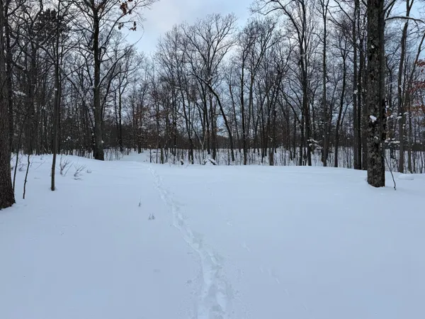 $49,900 | 8180 North Echo Valley Drive, Irons, MI 49644