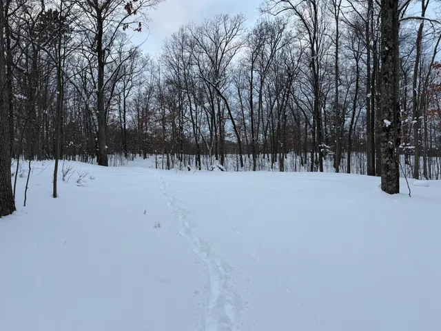 $49,900 | 8180 North Echo Valley Drive, Irons, MI 49644