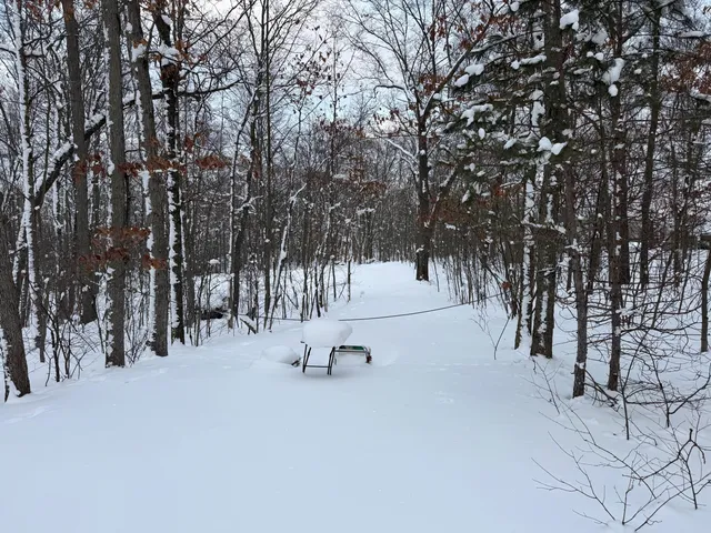 $49,900 | 8180 North Echo Valley Drive, Irons, MI 49644