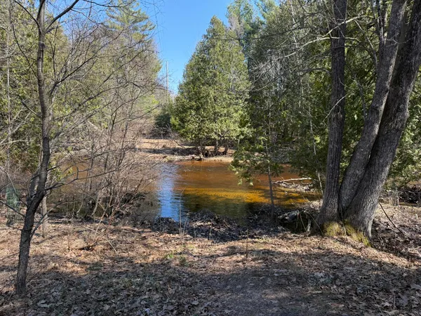 $49,900 | 8180 North Echo Valley Drive, Irons, MI 49644