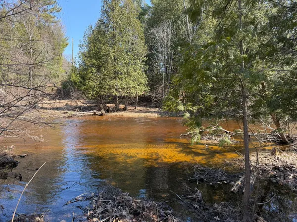 $49,900 | 8180 North Echo Valley Drive, Irons, MI 49644