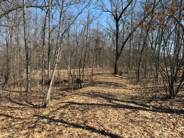 $49,900 | 8180 North Echo Valley Drive, Irons, MI 49644