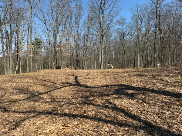 $49,900 | 8180 North Echo Valley Drive, Irons, MI 49644