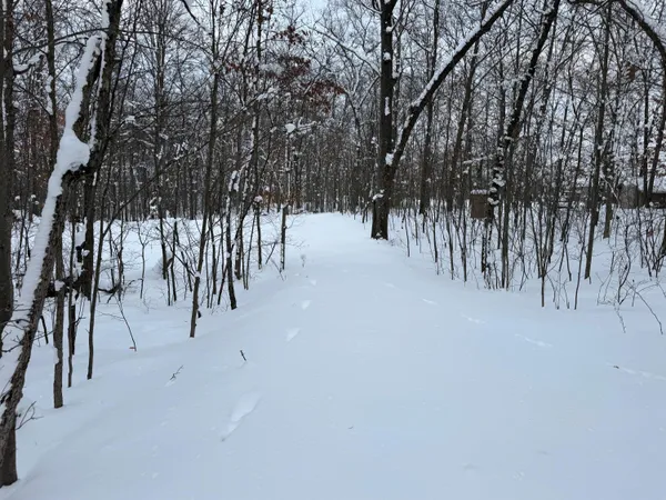 $49,900 | 8180 North Echo Valley Drive, Irons, MI 49644