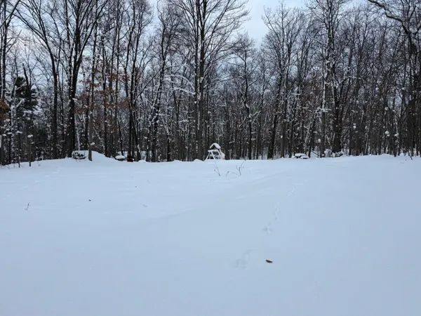 $49,900 | 8180 North Echo Valley Drive, Irons, MI 49644