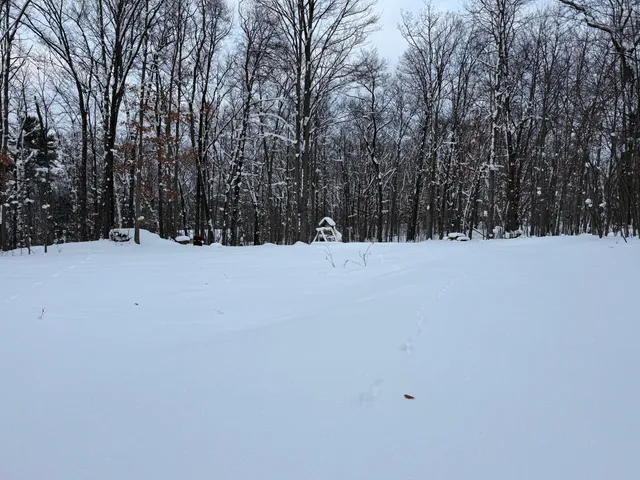 $49,900 | 8180 North Echo Valley Drive, Irons, MI 49644