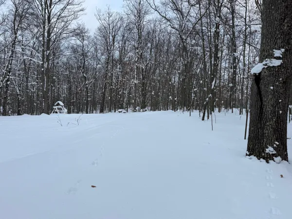 $49,900 | 8180 North Echo Valley Drive, Irons, MI 49644