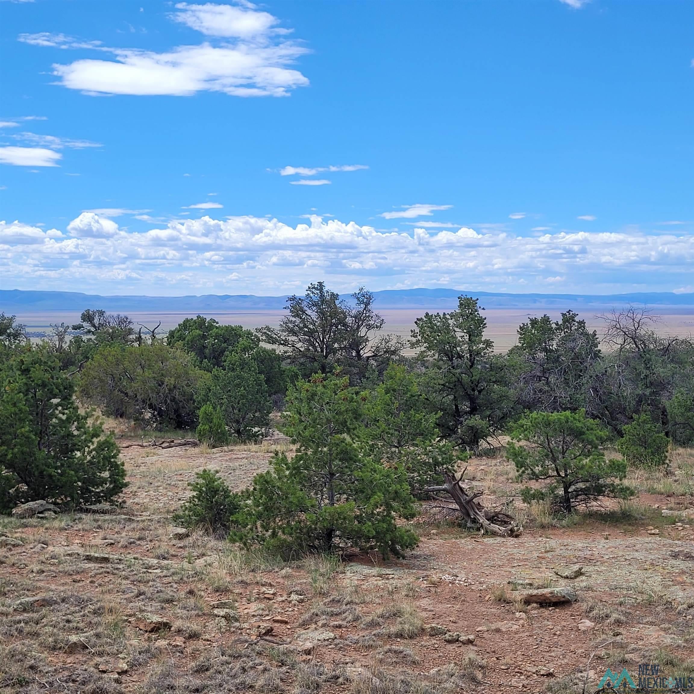 Xx Lookout Loop Datil, NM 87821 - Photo 18 of 38 Gallery Image 18