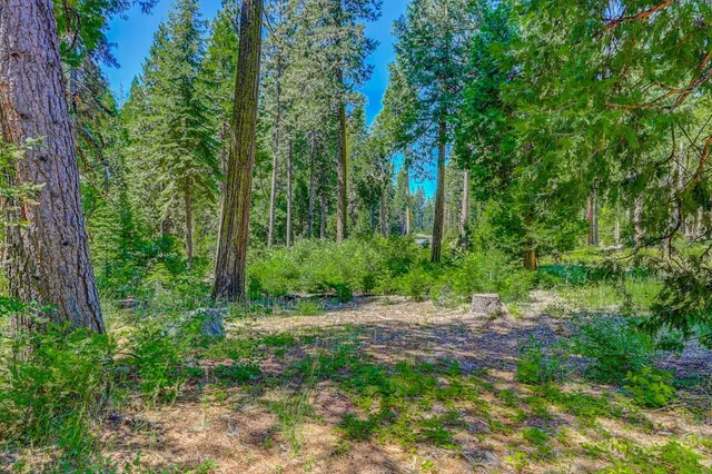 $75,000 | 10 Timber Trail Court, Arnold, CA 95223