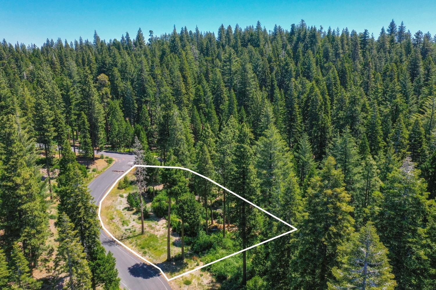 10 Timber Trail Court Arnold, CA 95223 - Photo 11 of 17