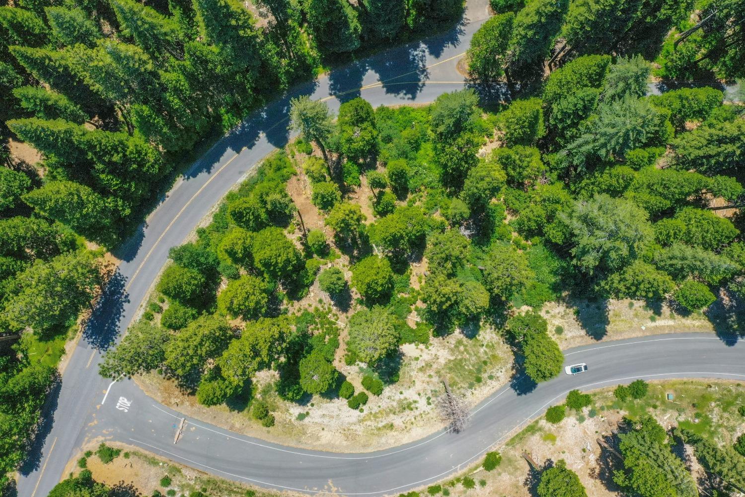 10 Timber Trail Court Arnold, CA 95223 - Photo 12 of 17