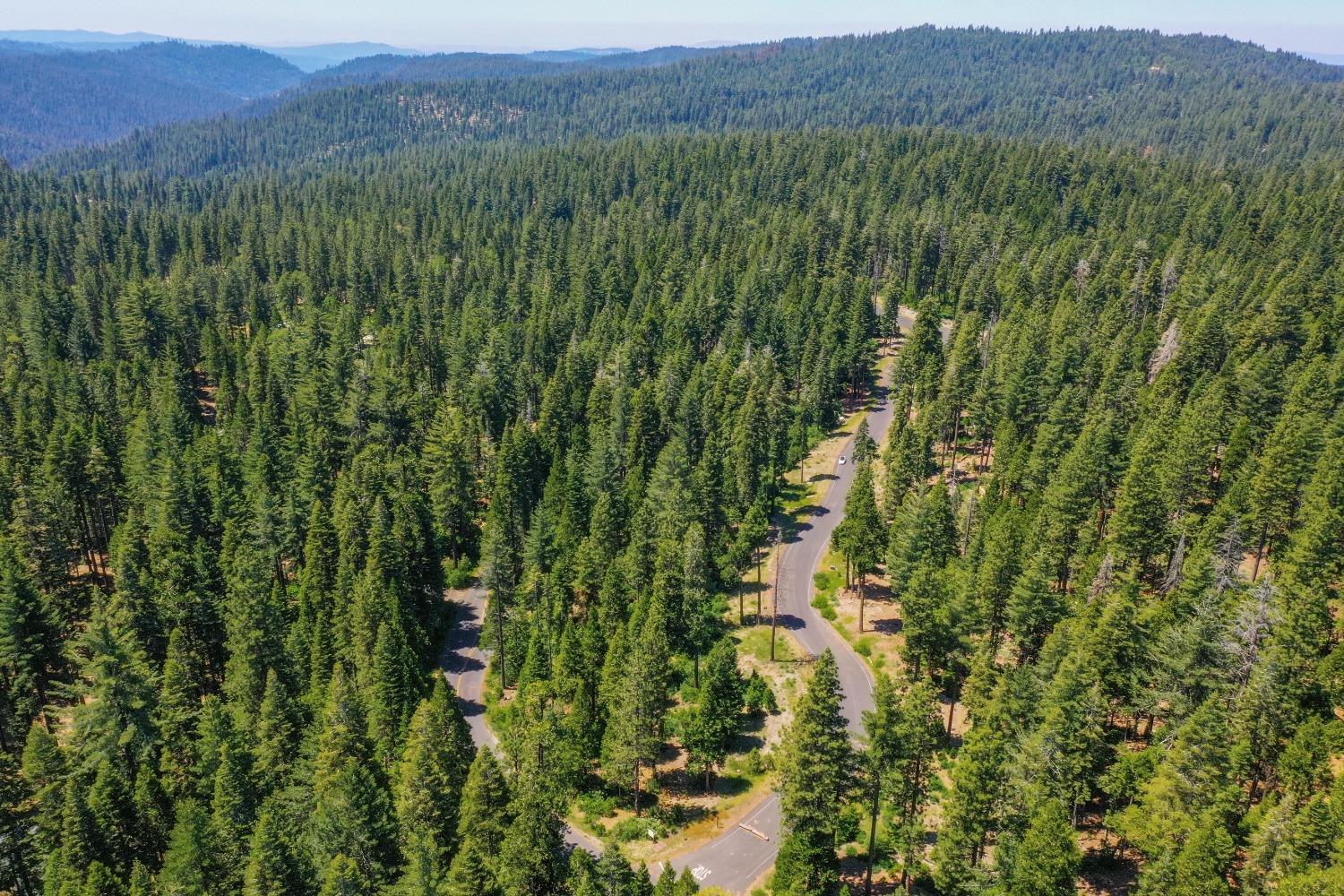 10 Timber Trail Court Arnold, CA 95223 - Photo 15 of 17