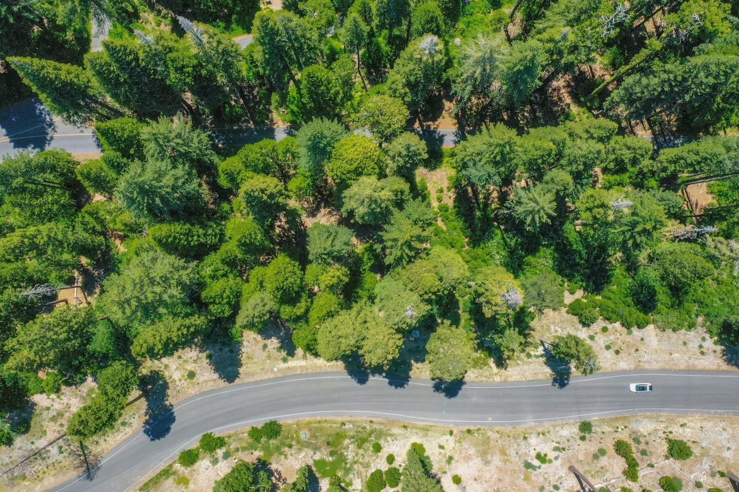 10 Timber Trail Court Arnold, CA 95223 - Photo 16 of 17