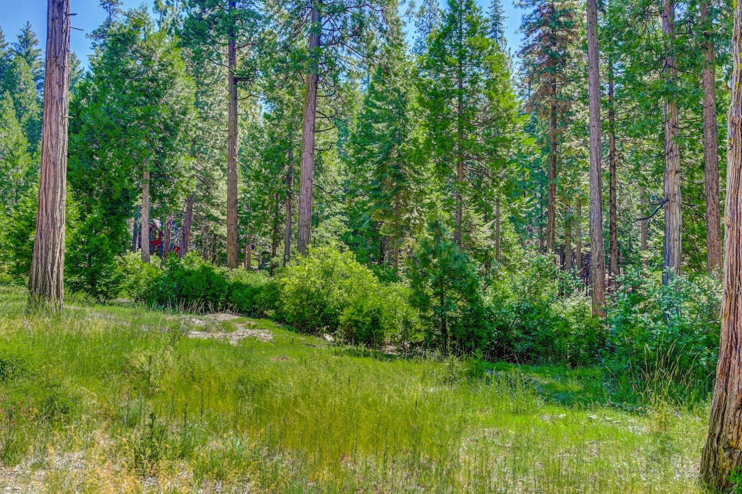 10 Timber Trail Court Arnold, CA 95223 - Photo 3 of 10 a view of yard with green space