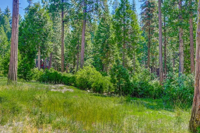 $75,000 | 10 Timber Trail Court, Arnold, CA 95223