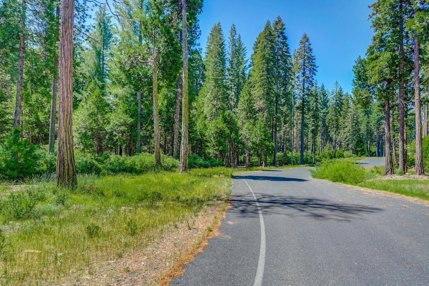 10 Timber Trail Court Arnold, CA 95223 - Photo 4 of 10 a view of a park with large trees
