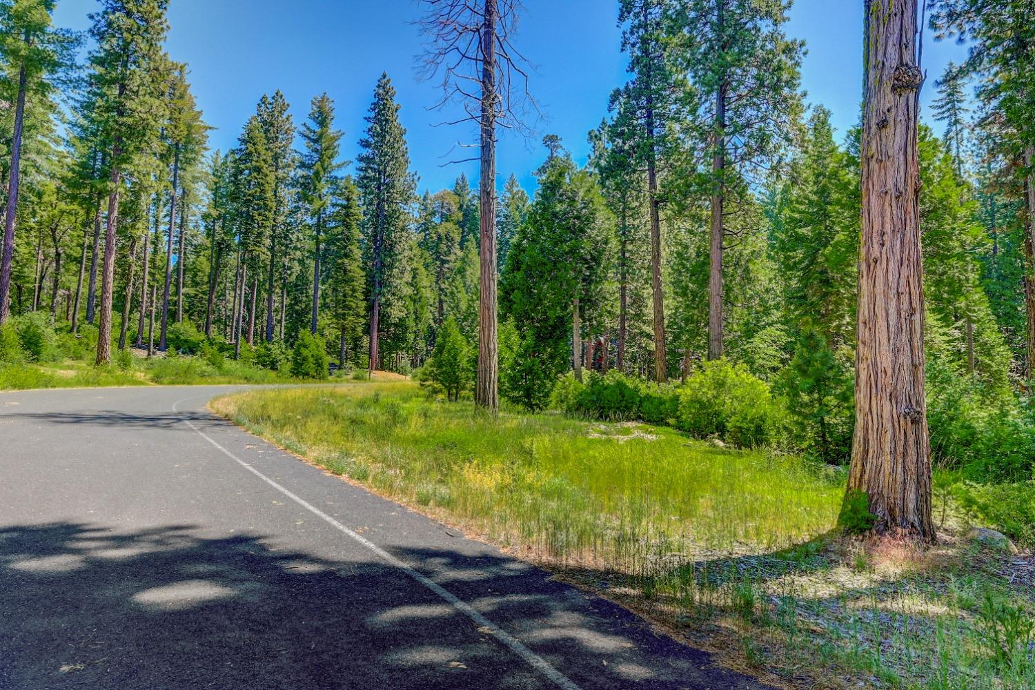 10 Timber Trail Court Arnold, CA 95223 - Photo 9 of 17