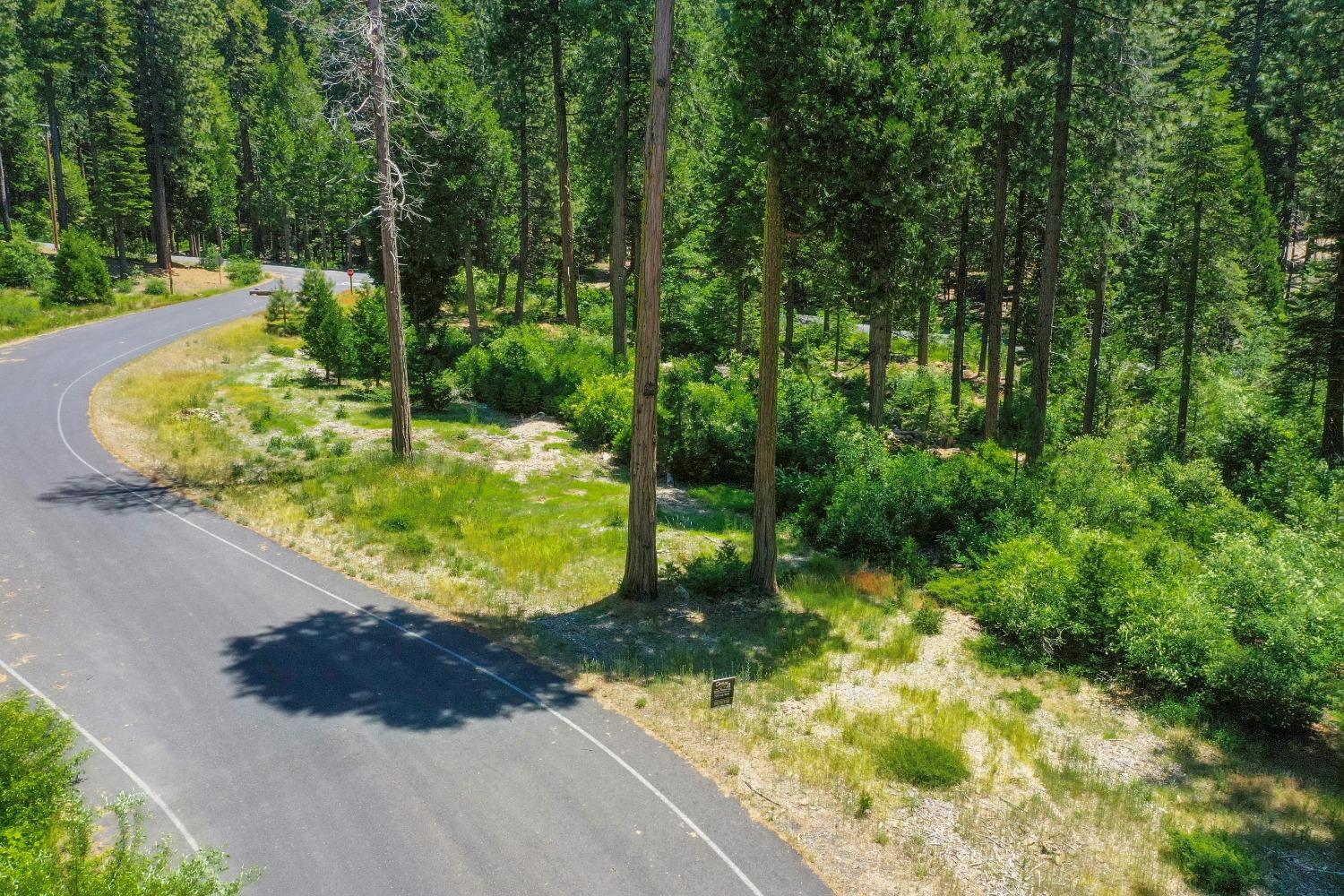 10 Timber Trail Court Arnold, CA 95223 - Photo 9 of 10 a view of a yard with plants