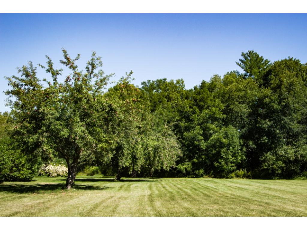 163 Exeter Road Hampton Falls, NH 03844 - Photo 24 of 25