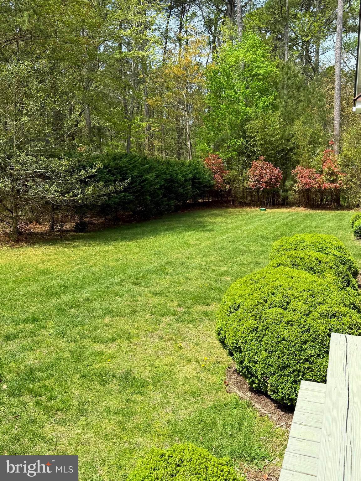 18 Short Road Bethany Beach, DE 19930 - Photo 62 of 76 Spacious backyard, landscaped privacy