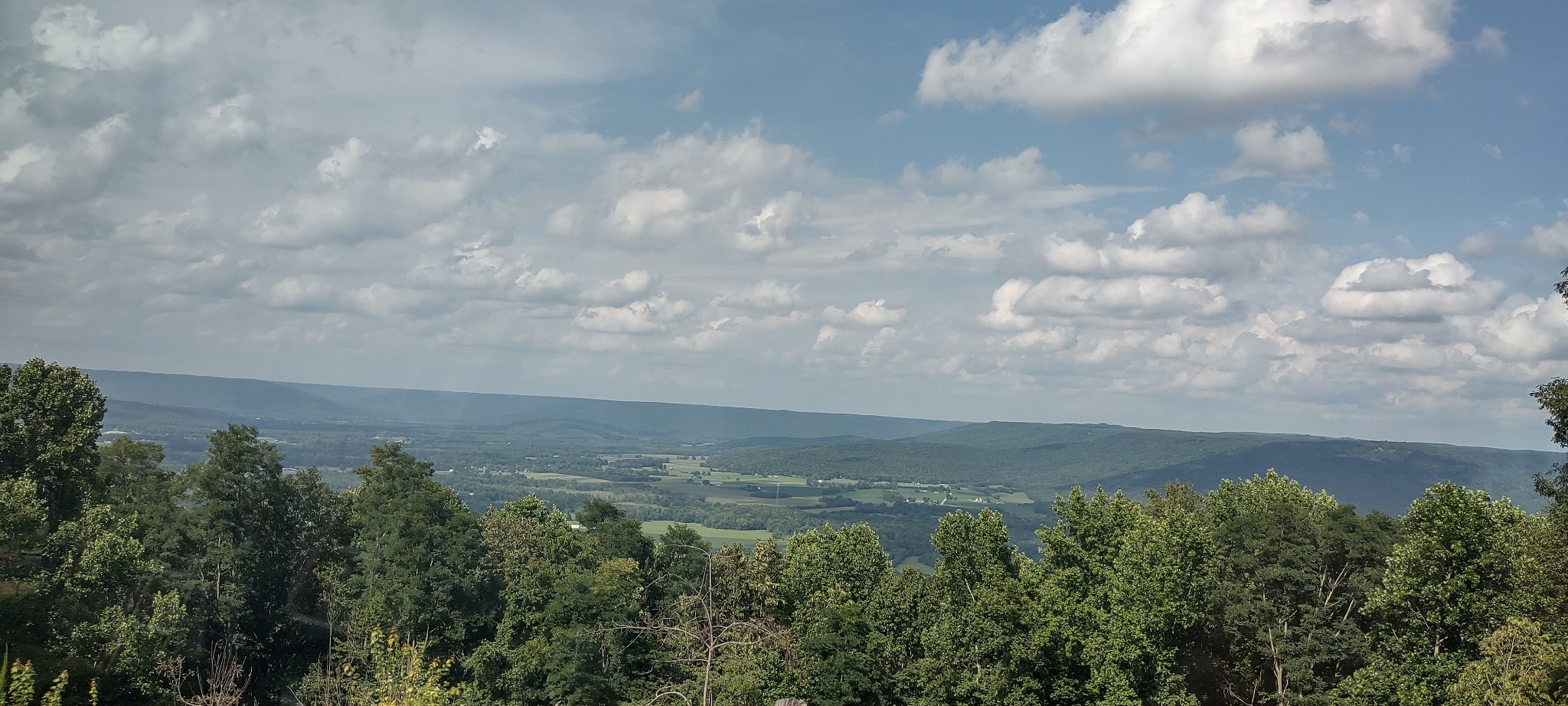 211 Rising Sun Lane Sewanee, TN 37375 - Photo 8 of 56