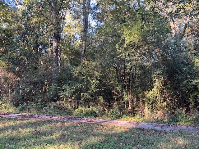 74 Chestnut Avenue Denmark, SC 29042 - Photo 2 of 3 IMG_9848