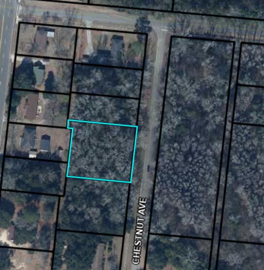 74 Chestnut Avenue Denmark, SC 29042 - Photo 3 of 3 Screenshot 2025-10-21 150602