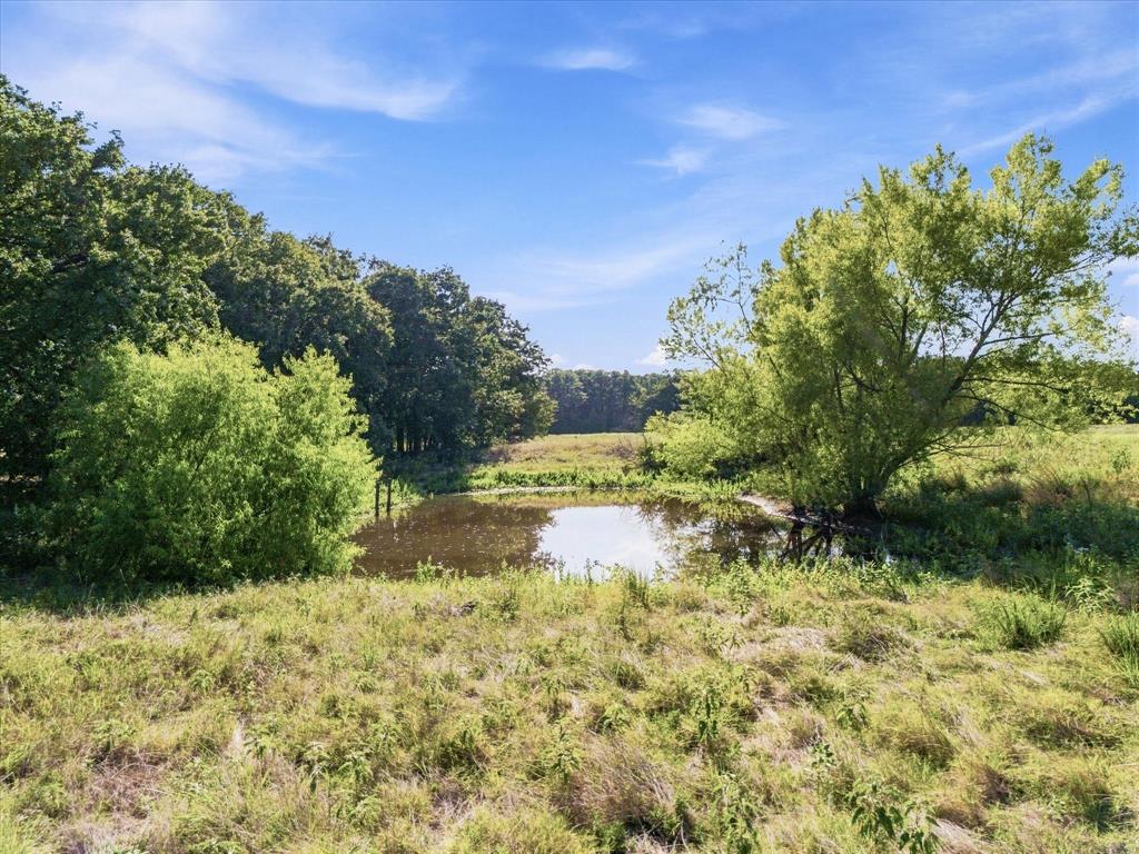 3094 Fm Road Scurry, TX 75158 - Photo 13 of 24 Gallery Image 13