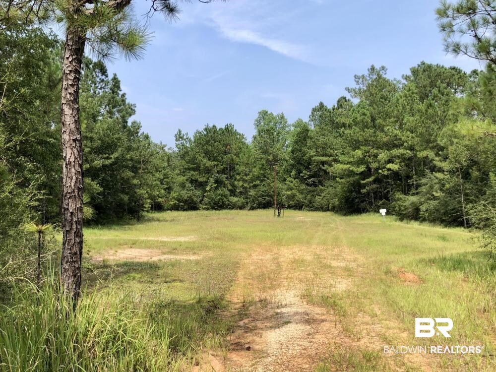 18560 Mason Street Citronelle, AL 36522 - Photo 5 of 45