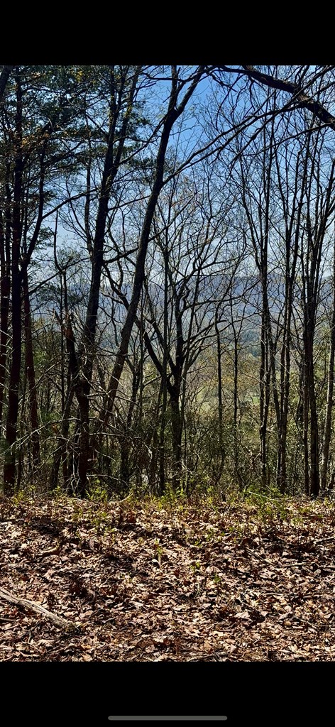 40-ac Colwell Road Epworth, GA 30541 - Photo 2 of 8