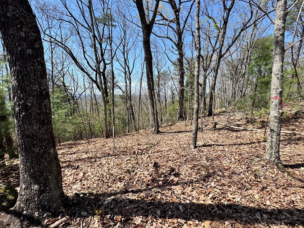 40-ac Colwell Road Epworth, GA 30541 - Photo 4 of 8