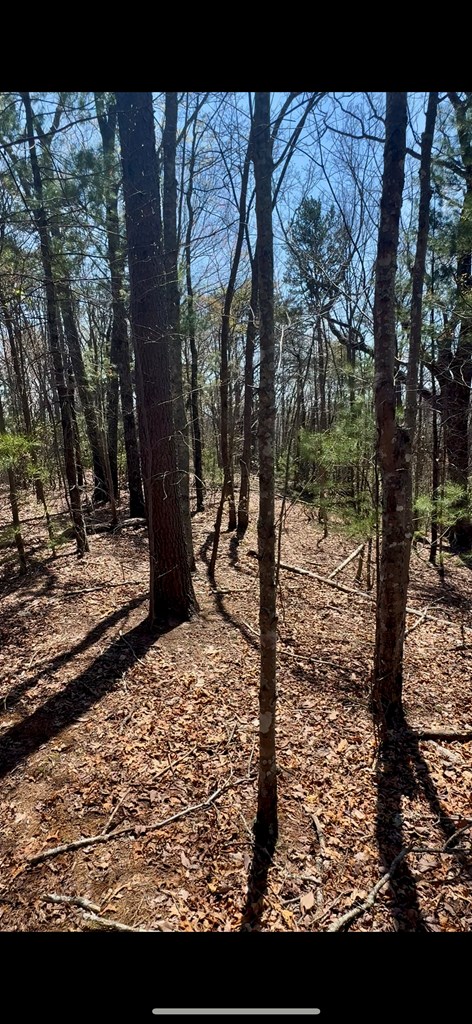 40-ac Colwell Road Epworth, GA 30541 - Photo 5 of 8