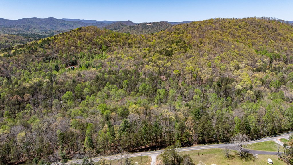 40-ac Colwell Road Epworth, GA 30541 - Photo 6 of 8