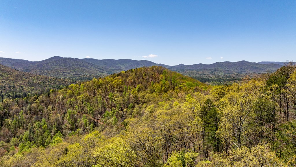 40-ac Colwell Road Epworth, GA 30541 - Photo 7 of 8
