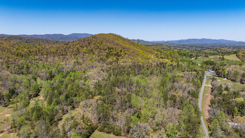 40-ac Colwell Road Epworth, GA 30541 - Photo 8 of 8