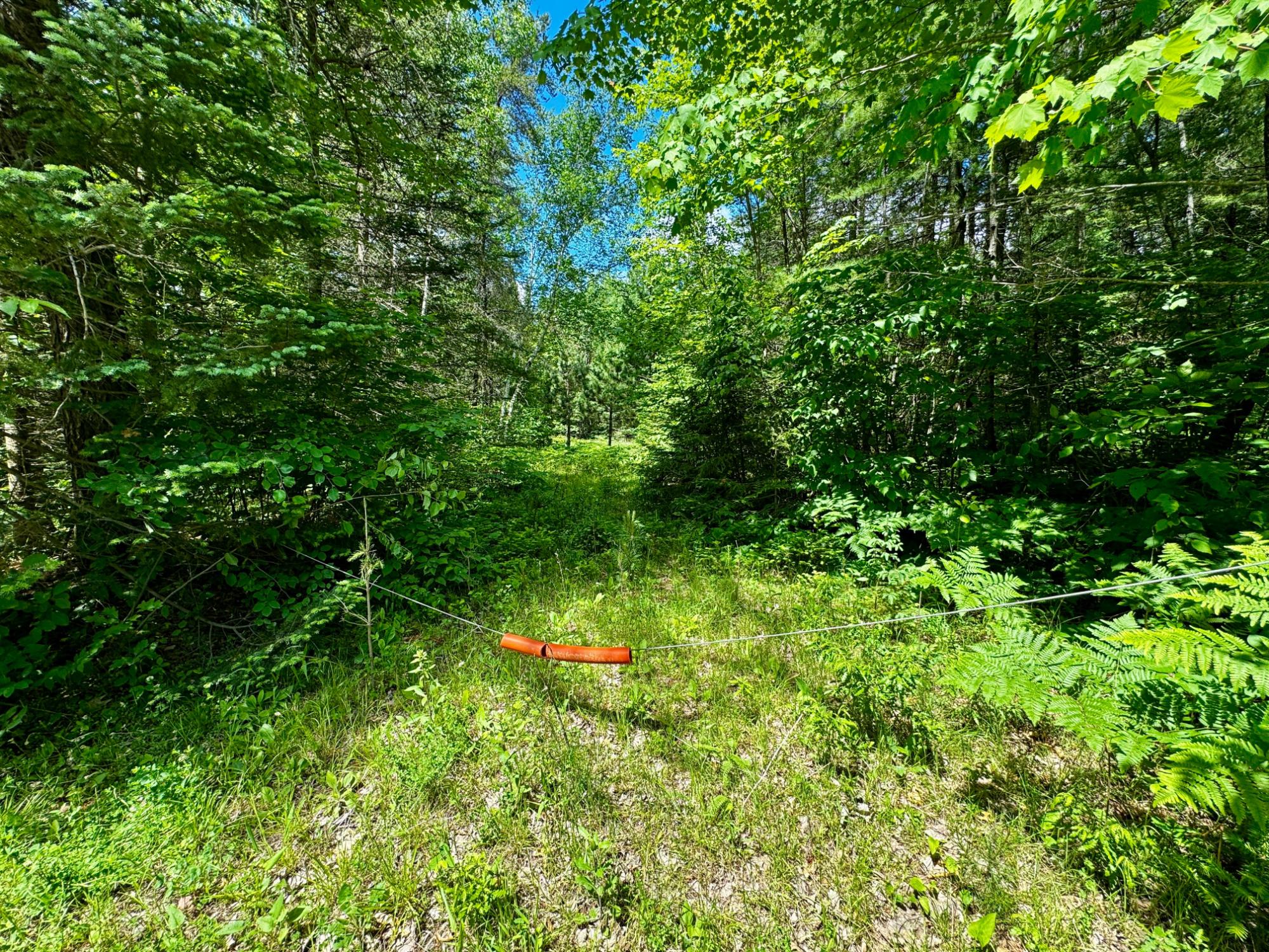 Nine Camp 9 Road Minocqua, WI 54548 - Photo 2 of 37 Gallery Image 2