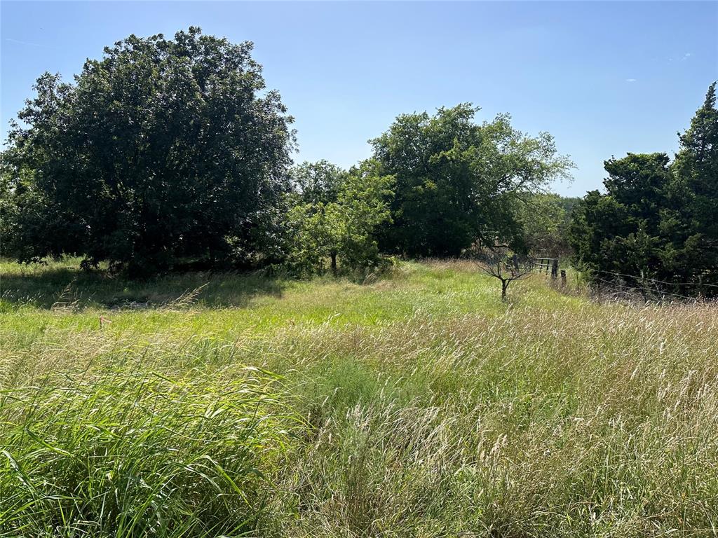 Lot 1 Cedar Road Sherman, TX 75090 - Photo 4 of 8