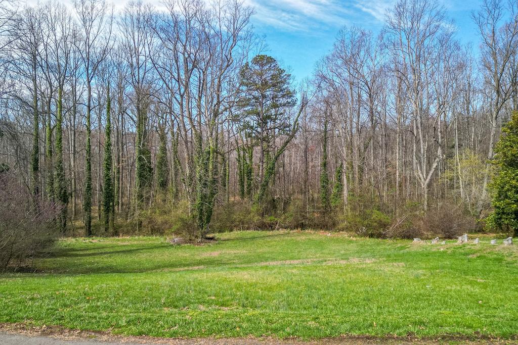 Maple Street, Unit 16 Appomattox, VA 24522 - Photo 5 of 6 Gallery Image 5