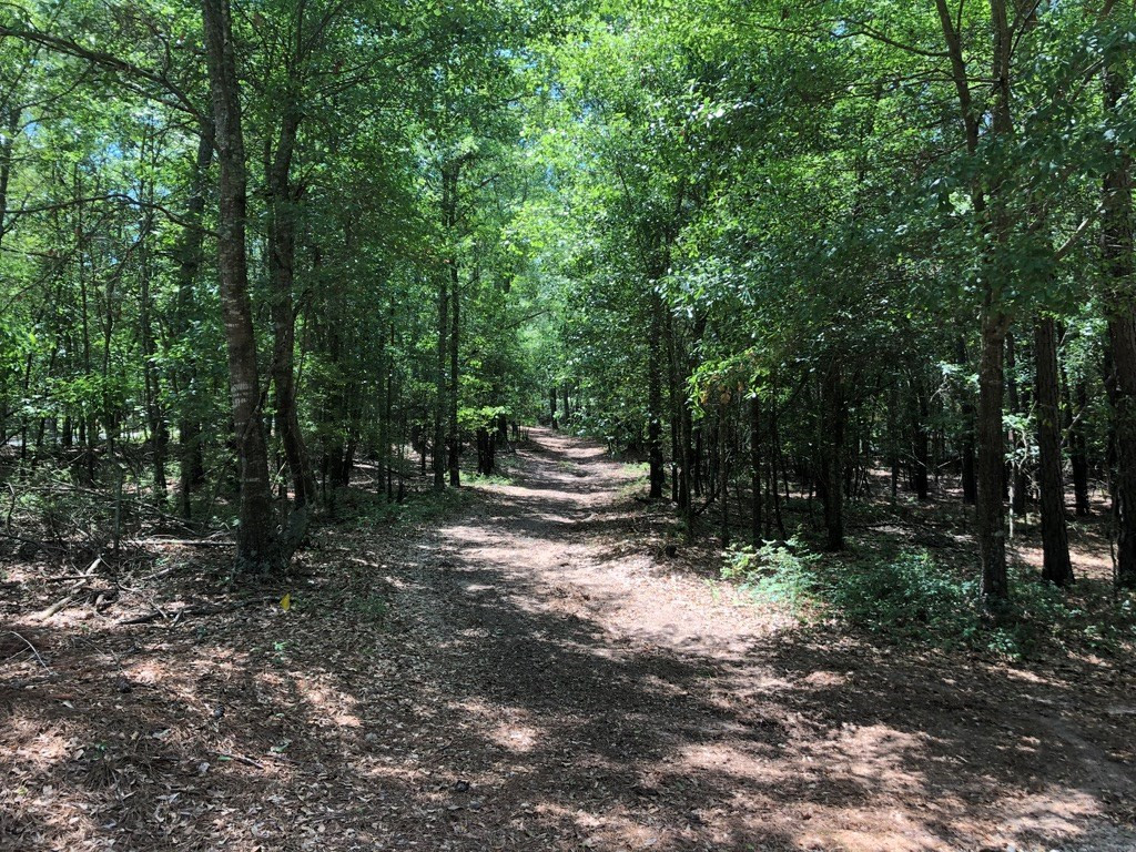 6.33-acres Implement Road Aiken, SC 29803 - Photo 18 of 18