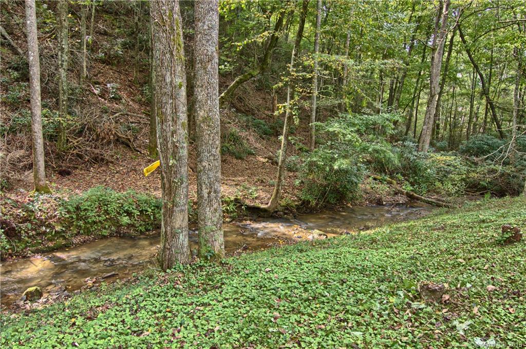 1227 Old Fort Road Fairview, NC 28730 - Photo 4 of 35 Gallery Image 4