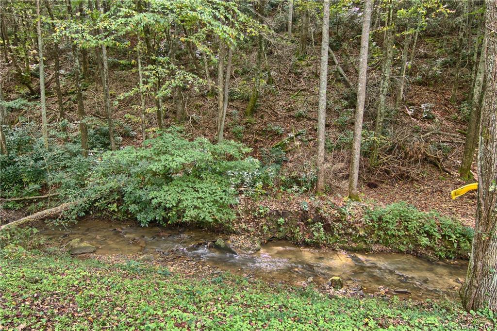 1227 Old Fort Road Fairview, NC 28730 - Photo 5 of 35 Gallery Image 5