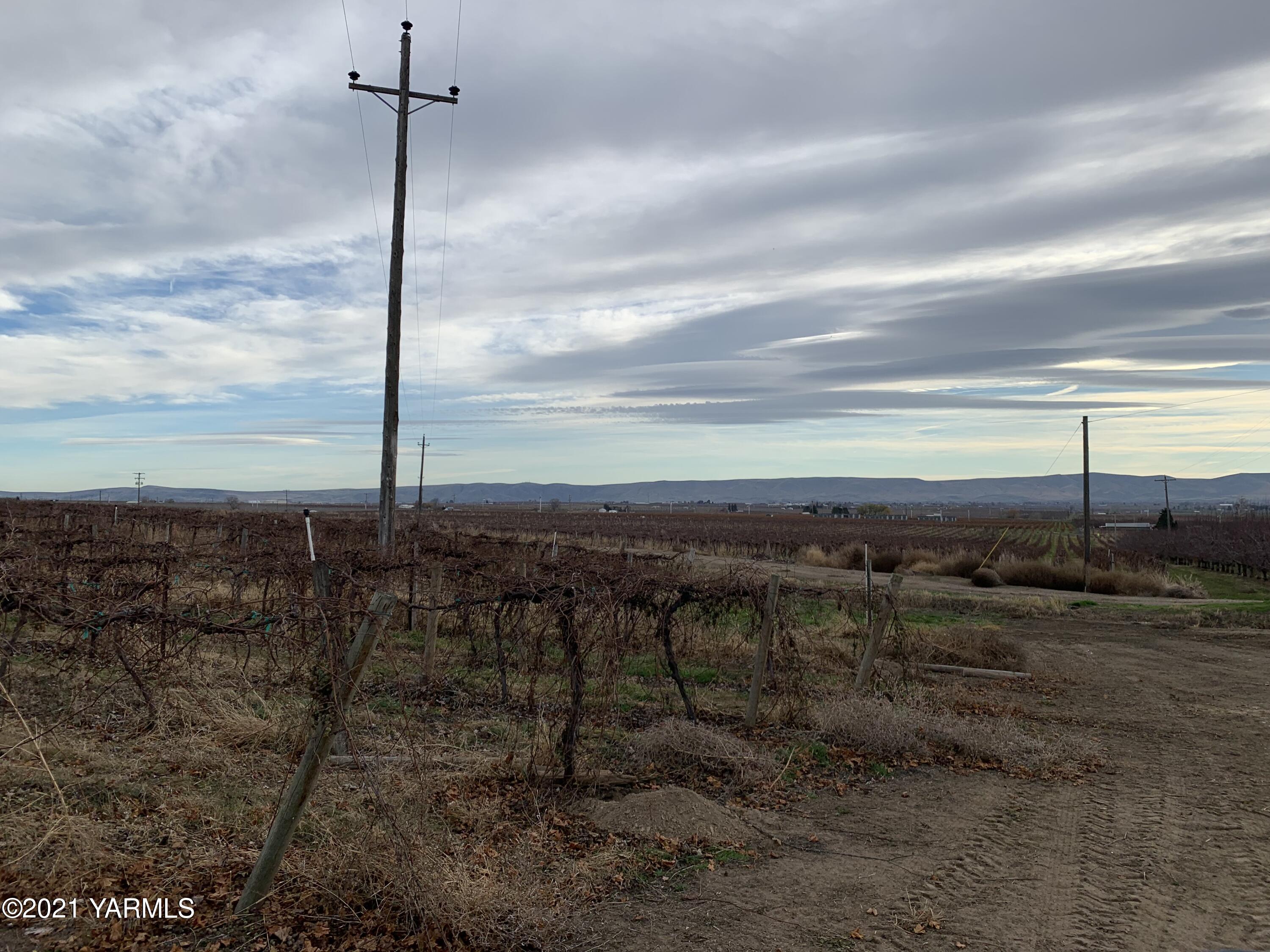 Tbd Olsen Road Grandview, WA 98930 - Photo 14 of 16 a view of a city