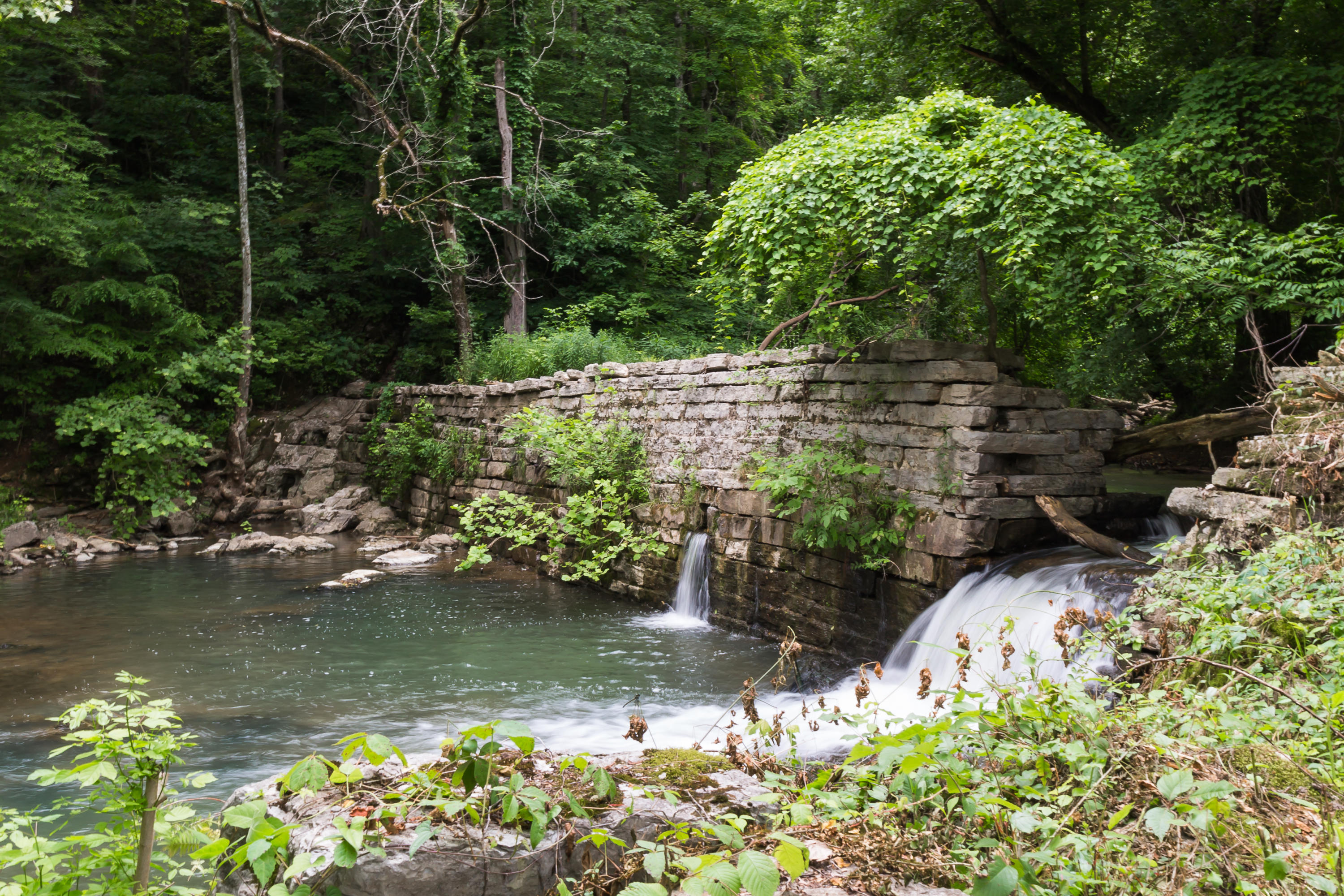 4942 Back Valley Road Speedwell, TN 37870 - Photo 1 of 2 Spring fed pond