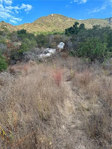 a view of a field with an trees
